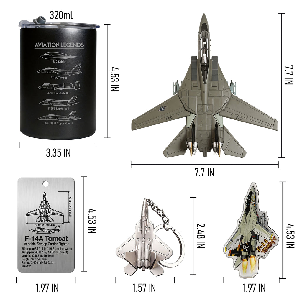SkyTrove F-14 Tomcat 1:100 Aircraft Gift Set