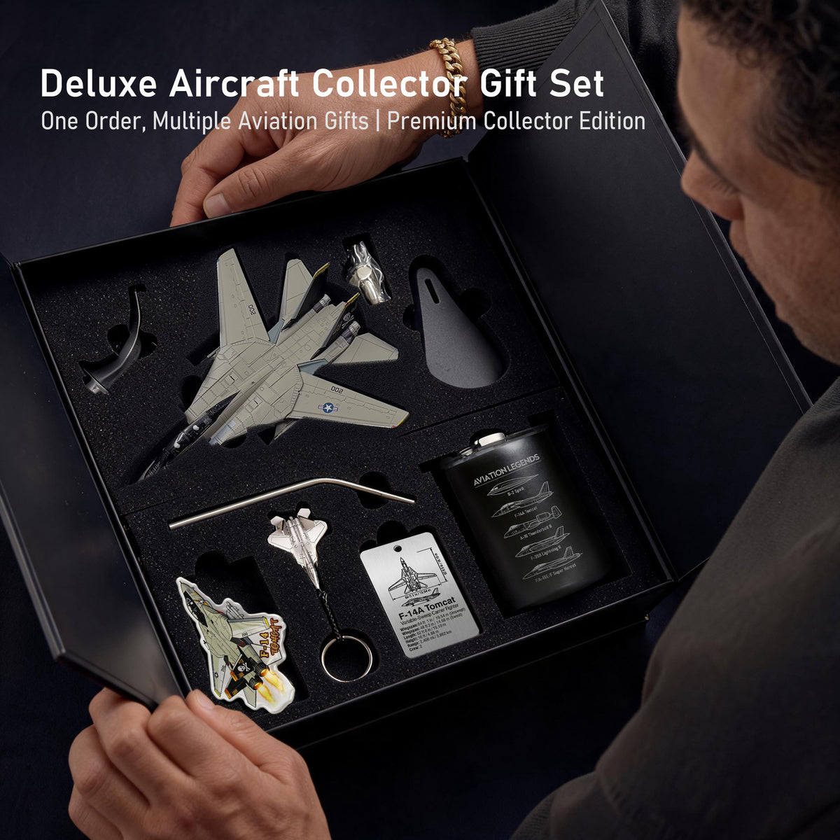 SkyTrove F-14 Tomcat 1:100 Aircraft Gift Set