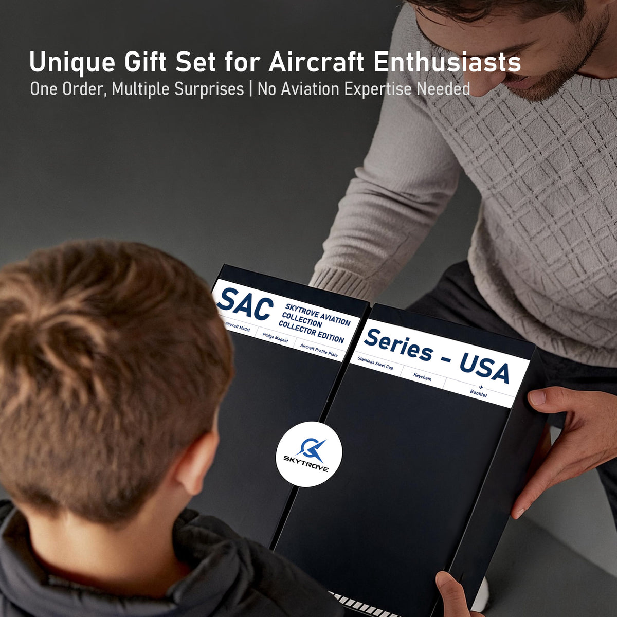 SkyTrove F-14 Tomcat 1:100 Aircraft Gift Set