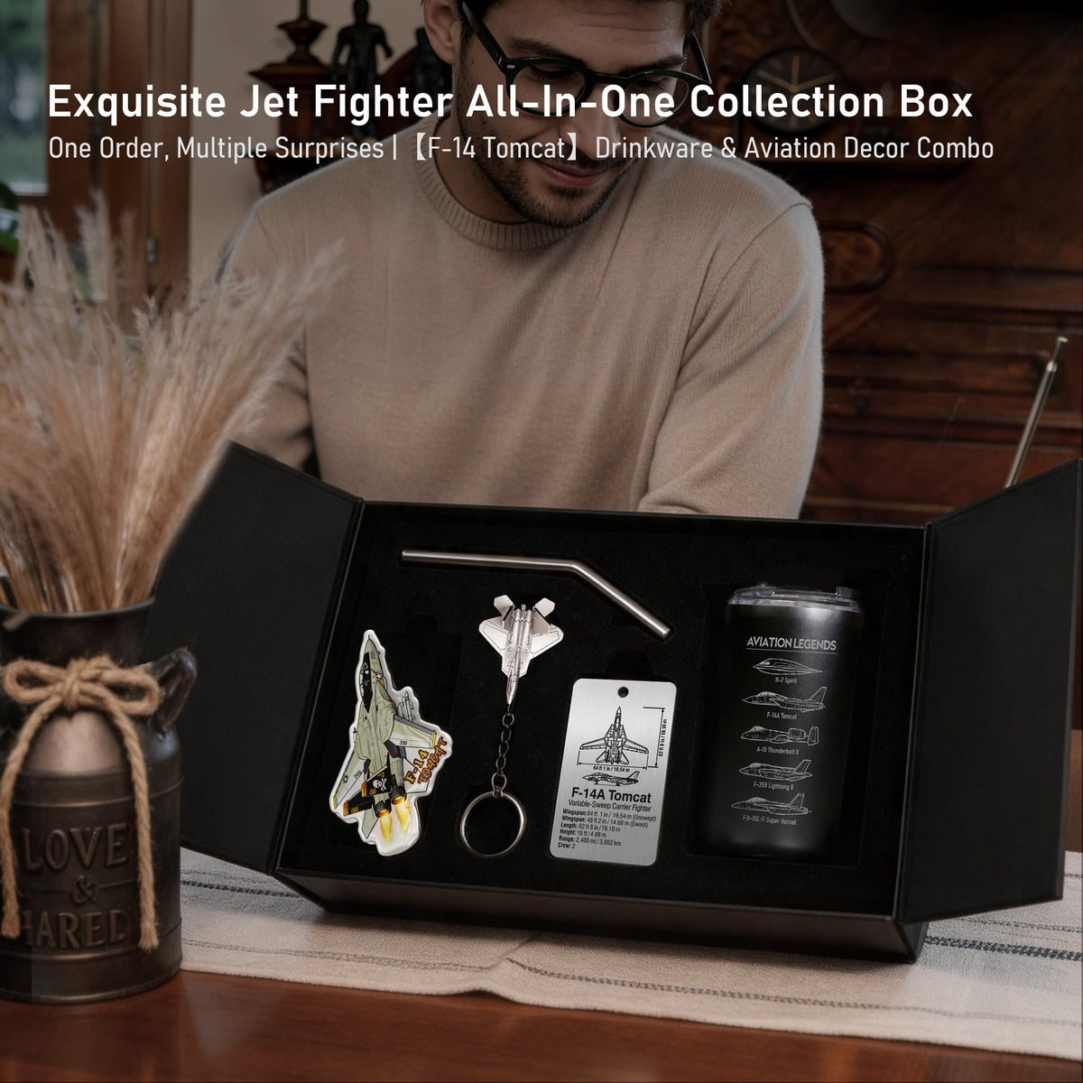 F-14 Tomcat aviation gift set