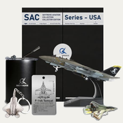 SkyTrove F-14 Tomcat 1:100 Aircraft Gift Set